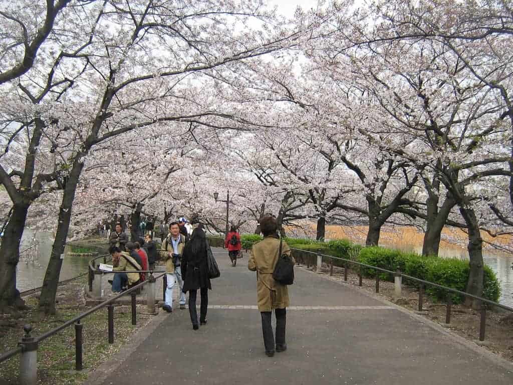 Ueno Park jepang harga tour ke Jepang 2016 murah dari medan biaya tour ke jepang