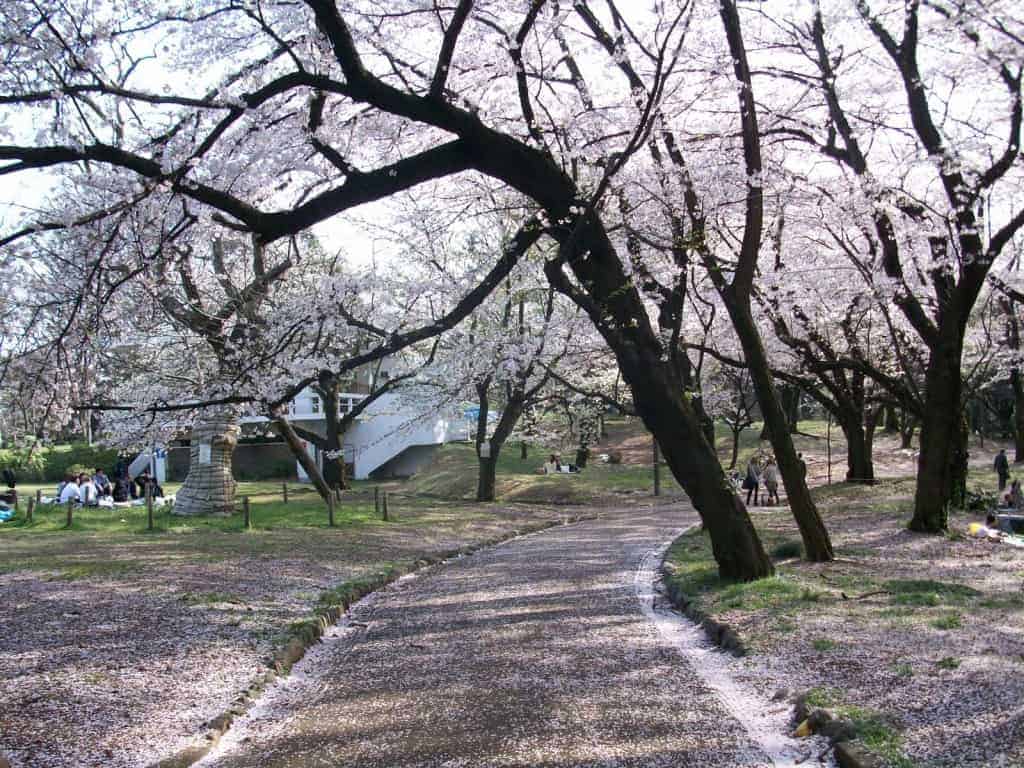 Yoyogi Park tokyo jepang liburan ke Jepang murah 2016 paket liburan ke jepang murah tips liburan ke Jepang murah biaya liburan ke Jepang murah liburan jepang murah